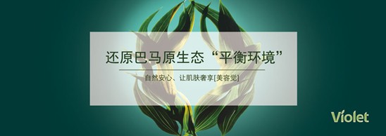 _mҼDf@I(lng)ӢFķAʢ