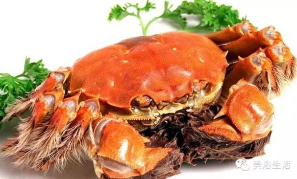 ԡÂĴlззSʳзȯзë