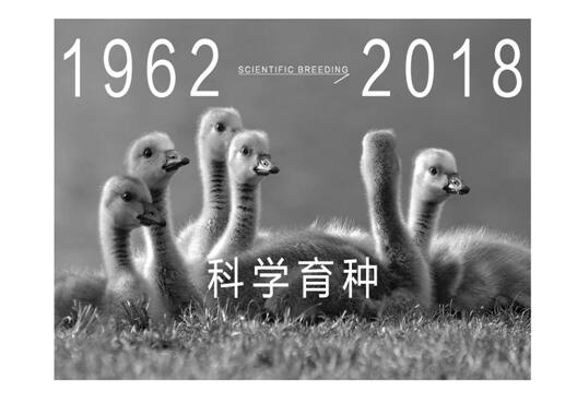 Ҽmq¾p